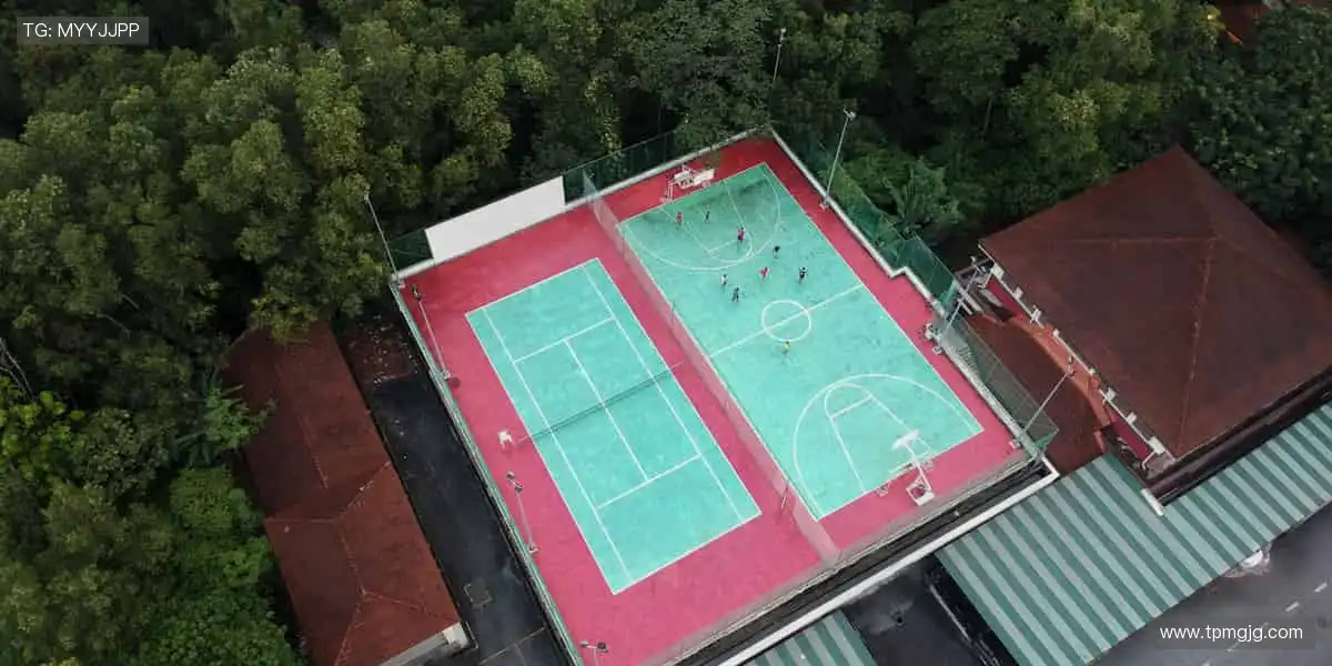 随时随地,赛事直播不缺席!📱